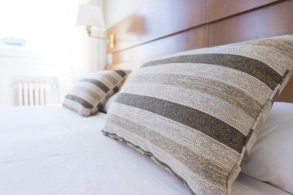 bed bugs in Virginia