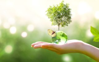 dehumidified home for better pest control