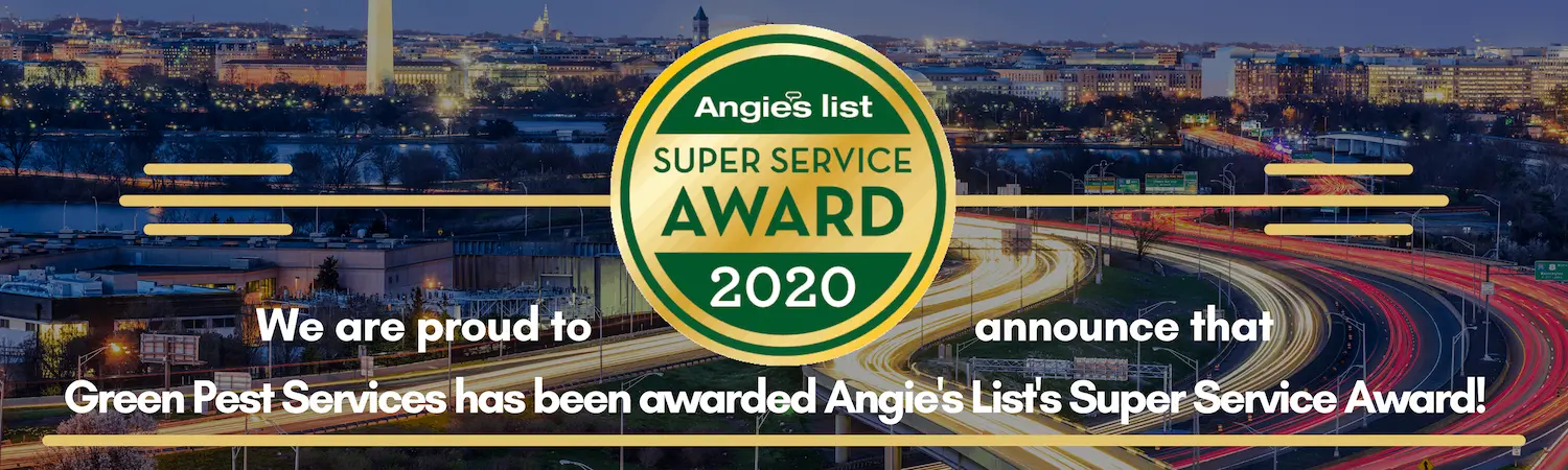 Angie's List super service award for Green Pest Serices