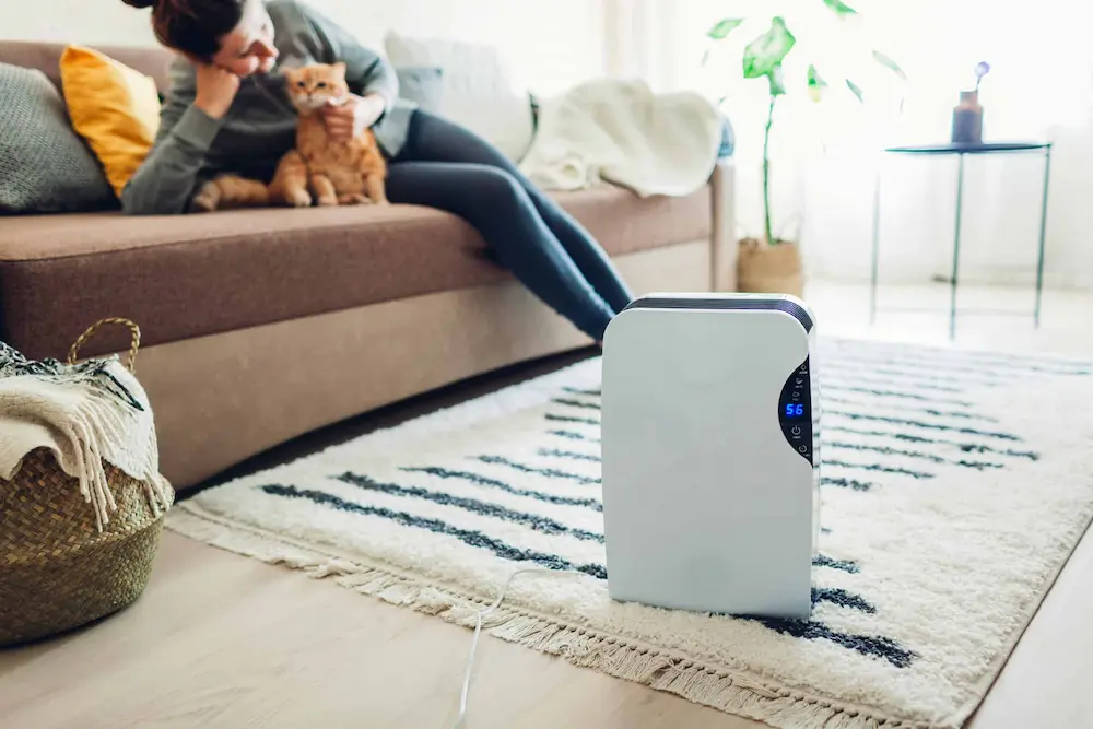 A woman sitting on a sofa with her kitten, enjoying a comfortable and healthy home environment. A dehumidifier is running in the background, helping to control humidity and prevent pest infestations.