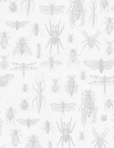 pests background pattern