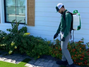 A green Pest Solutions Technician spraying the yard with a pest control solution
