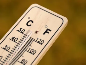 How Temperature Shapes Pest Activity