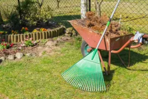 cleaning the yard