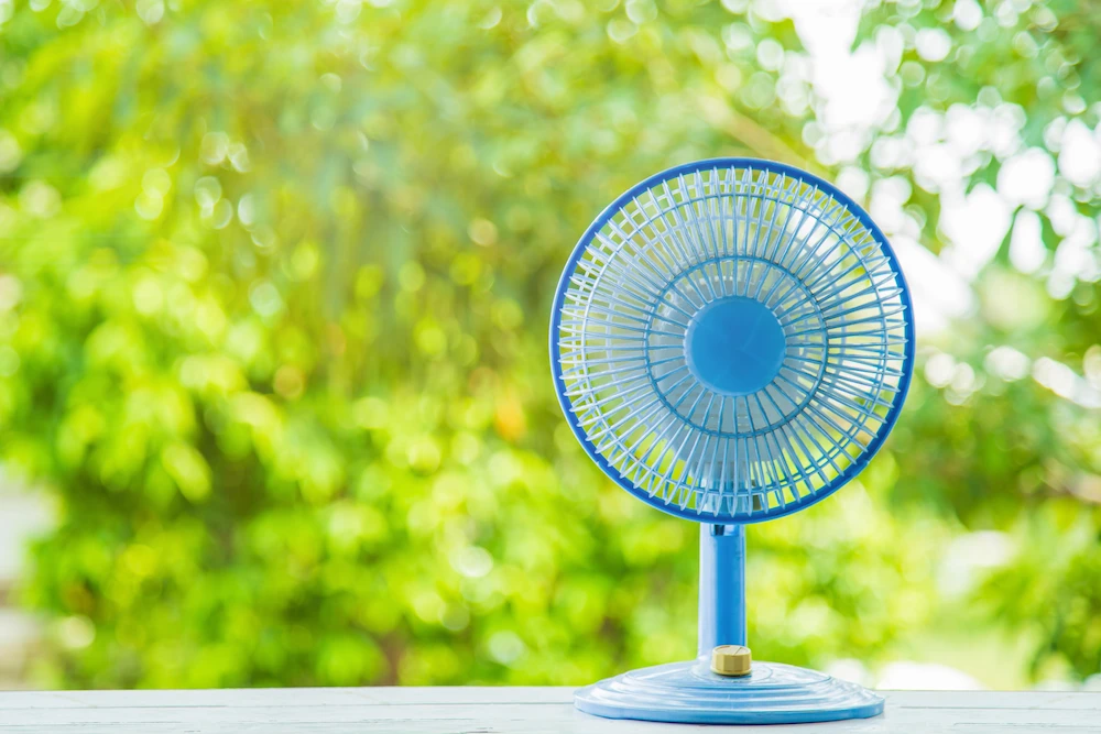 fan