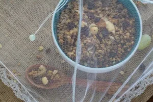 mesh net over dish of food