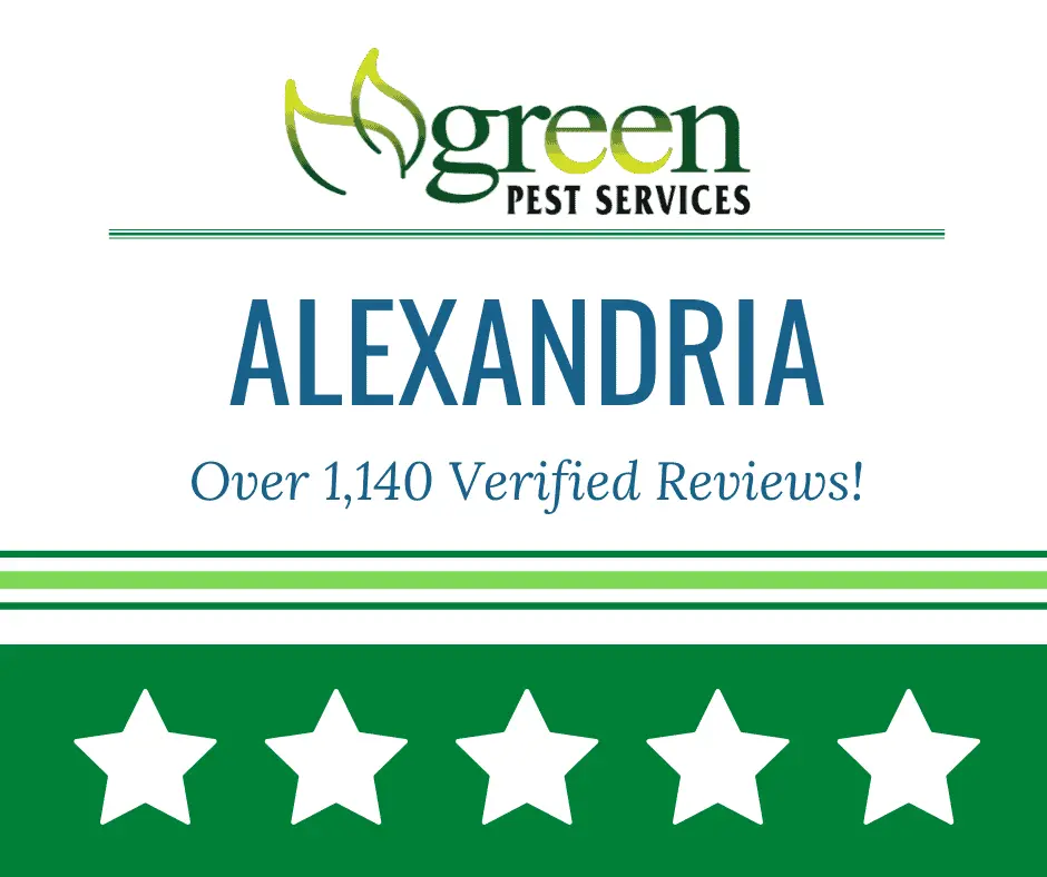 Green Pest Services Alexandria banner highlighting over 1140 verified reviews with five star rating display