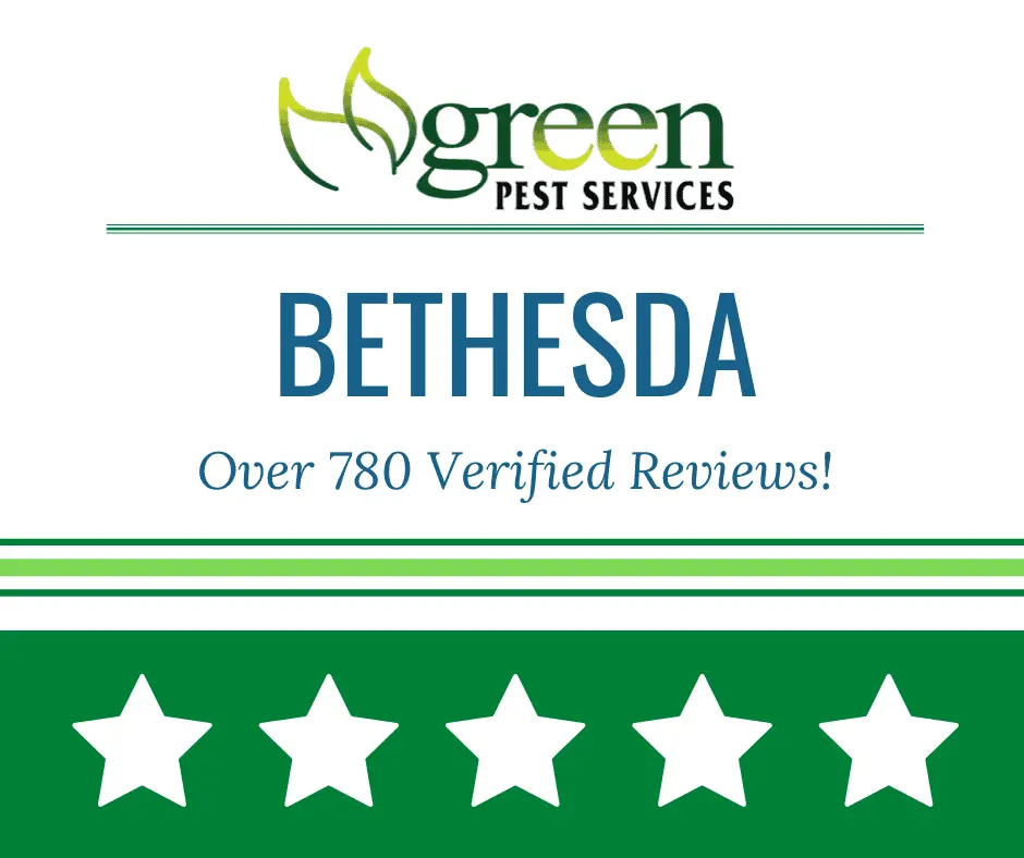 Green Pest Services Bethesda banner highlighting over 780 verified reviews with five star rating display