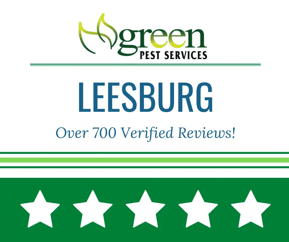 Green Pest Services Leesburg banner highlighting over 700 verified reviews with five star rating display