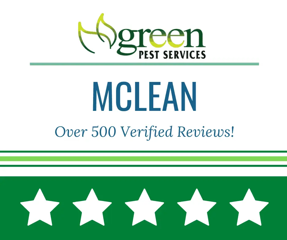 Green Pest Services McLean banner highlighting over 500 verified reviews with five star rating display