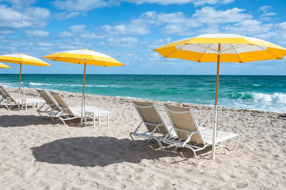 how to avoid pests at the beach
