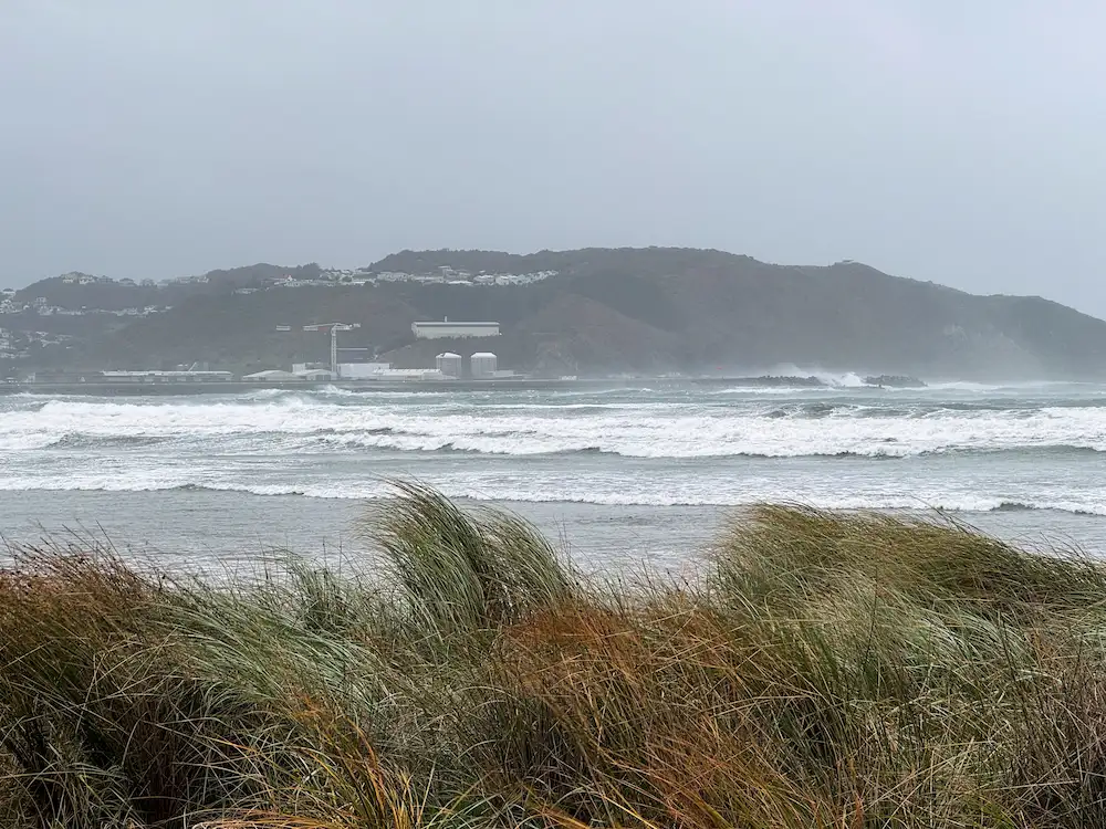 windy beach
