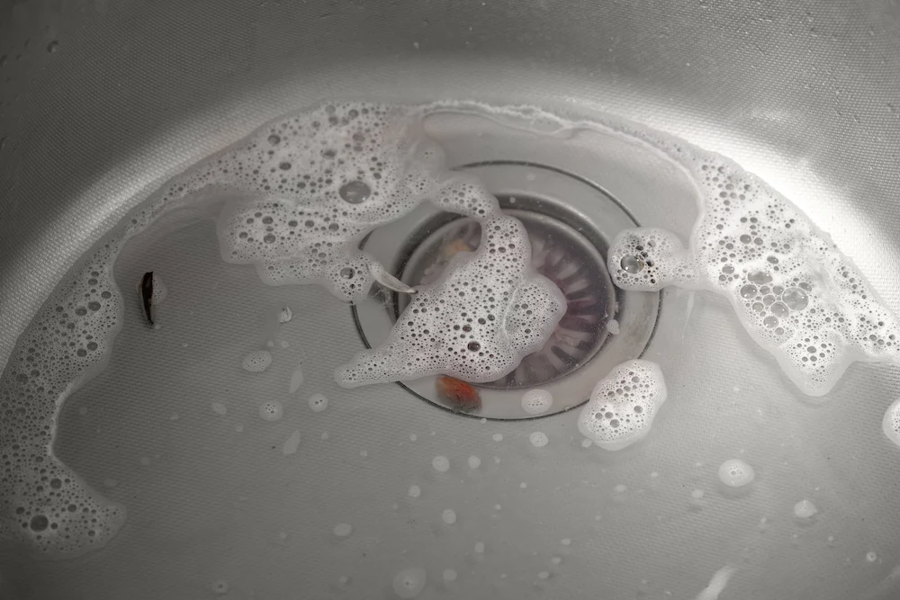 clogged sink