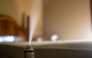 why DIY pest treatments fail