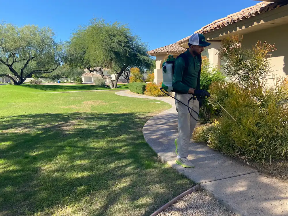Green Pest Services