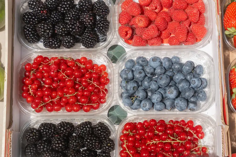 stored berries