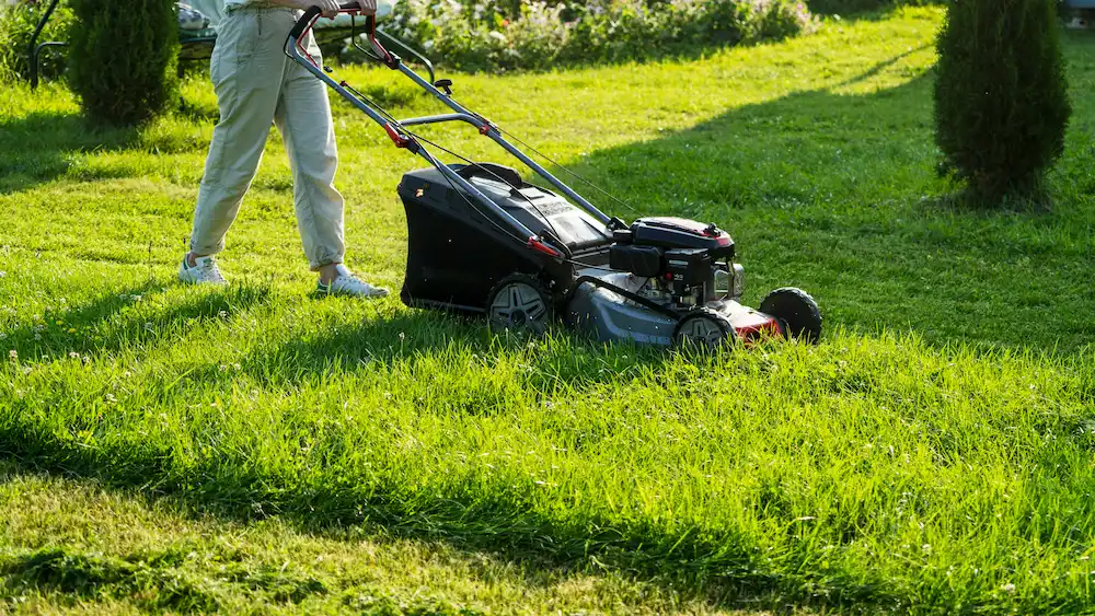 mowing the lawn