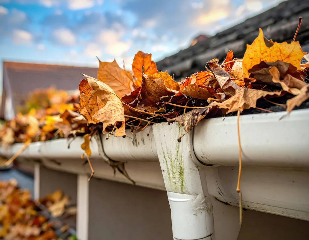 gutter clogged with fall leaves