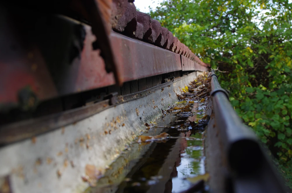 gutter clogged with leaves